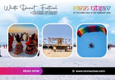 White Desert Festival - Rann Utsav