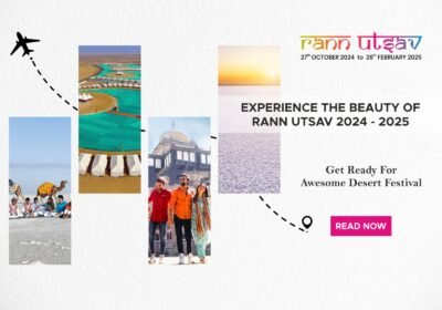 Experience the beauty of rann utsav 2024-2024