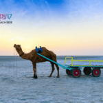 Delhi to Rann Utsav Made Easy: Fly Direct to Bhuj