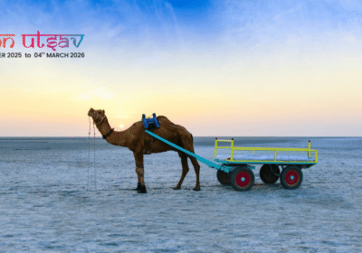 Delhi to Rann Utsav Made Easy: Fly Direct to Bhuj