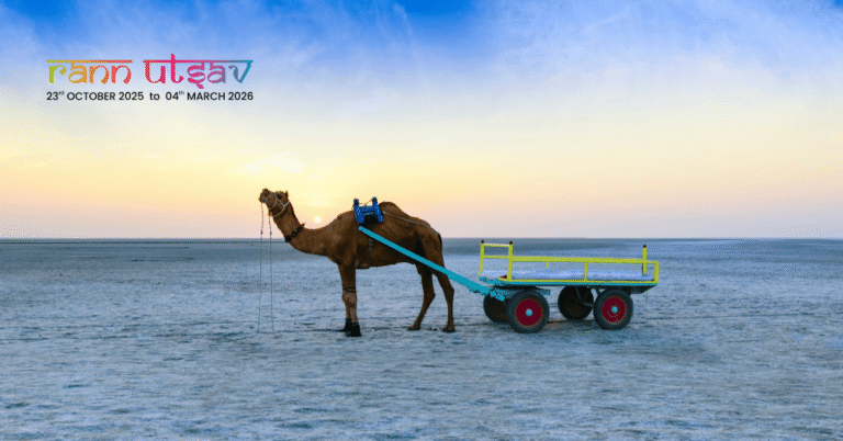 Delhi to Rann Utsav Made Easy: Fly Direct to Bhuj