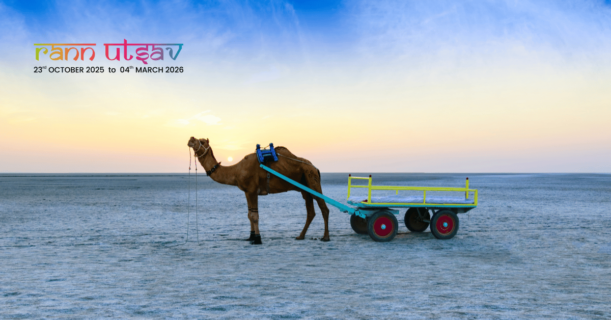 Delhi to Rann Utsav Made Easy: Fly Direct to Bhuj