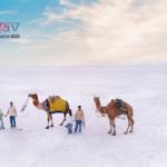 Kutch Beyond the White Rann: Hidden Gems You Need to Discover