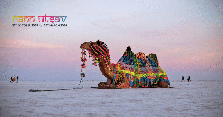 How To Reach Rann of Kutch by Air, Train and Road