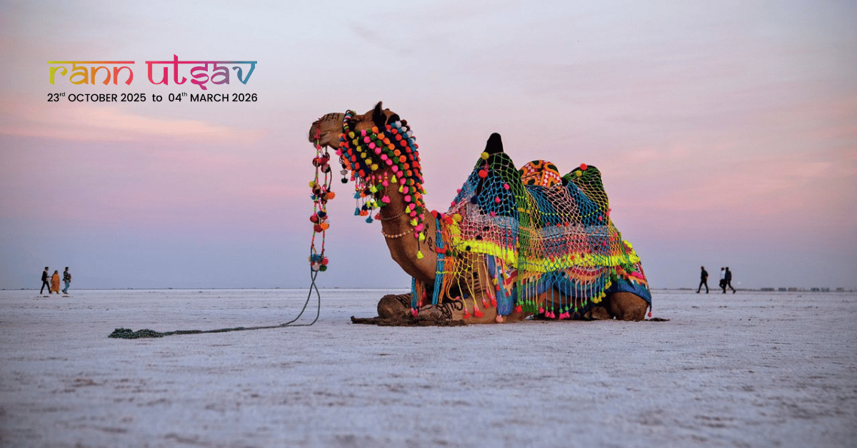 10 Reasons Why Rann Utsav is a Must-Visit Festival in Gujarat
