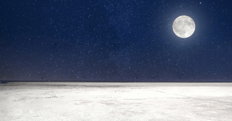 Best Time to Visit Rann Utsav: The Magic of Full Moon Nights