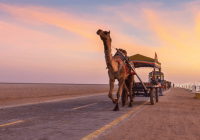 How To Reach Rann Utsav from Surat