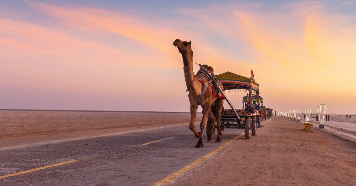 How To Reach Rann Utsav from Surat